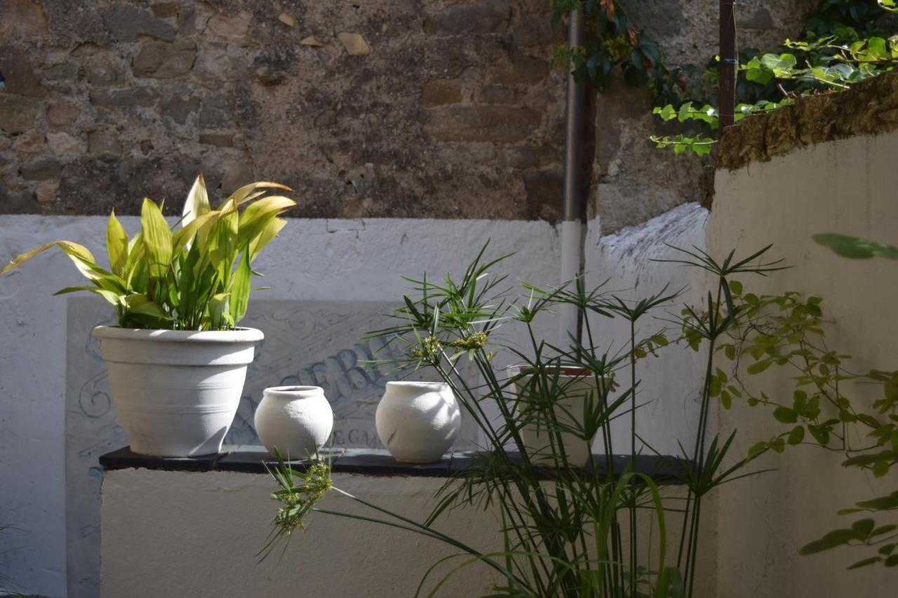 L'Ancienne Boulangerie Bed & Breakfast Caunes-Minervois Екстериор снимка